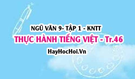 Soạn bài Thực hành tiếng việt trang 46 lớp 9 tập 1 Kết nối tri thức